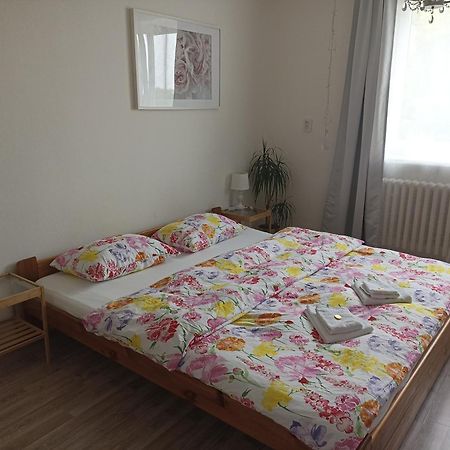 Ubytovani V Rodinnem Dome Ostopovice Luaran gambar